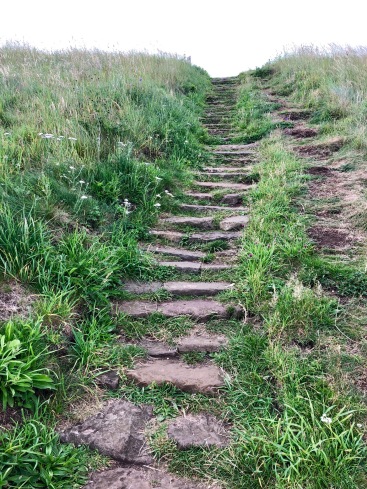Good paths with steps on ascent and descent: Fife Coastal Path